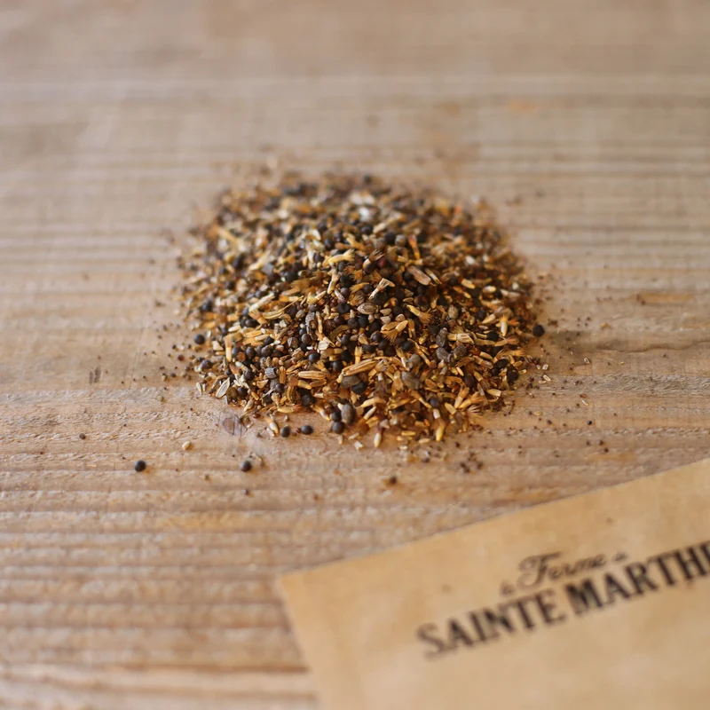 MÉLANGE FLEURI - NOURRIR LES PAPILLONS NT