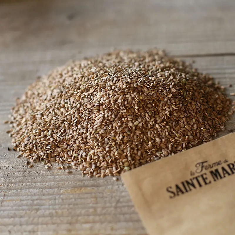 SEIGLE PERENNE AB 150 g