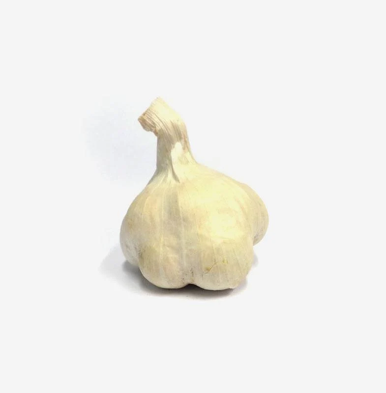 Zen Eggplant