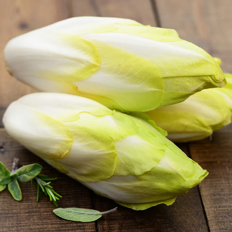 ENDIVE TARDIVO AB