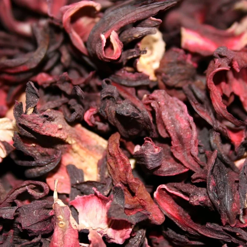 Hibiscus bissap — Graines