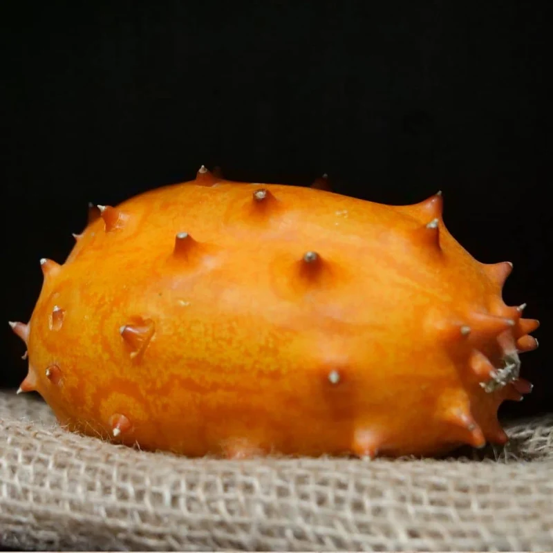 Kiwano — Concombre cornu — Graines