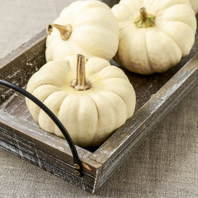 Courge Baby Boo — Graines