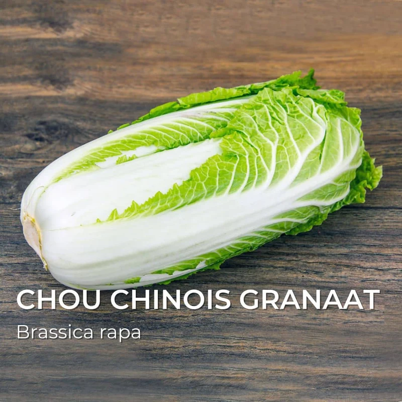 Grainebox — Ma Boîte à Choux