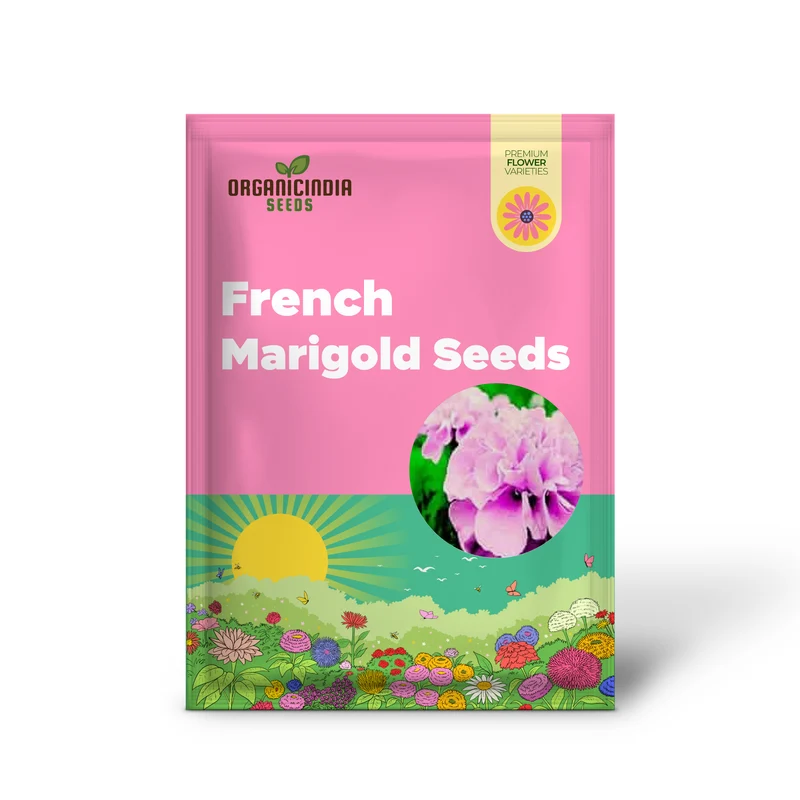 Pink Color French Marigold Seeds for Planting