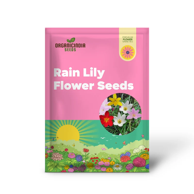 Rain Lily Seeds (Mixed Rain Lily Flower Seeds) - Colorful Blooms for Easy Garden Planting