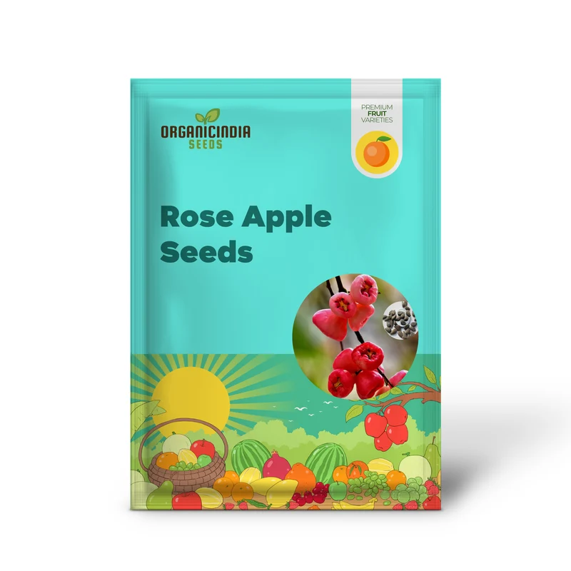 Rose Apple Seeds for Planting