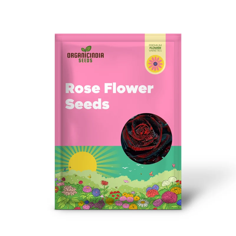 Black Rose with Red Edge Flower Seeds for Planting - 100 pcs