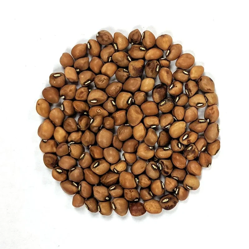 Mississippi Silber Heirloom Pea Seeds, Organic, Planting
