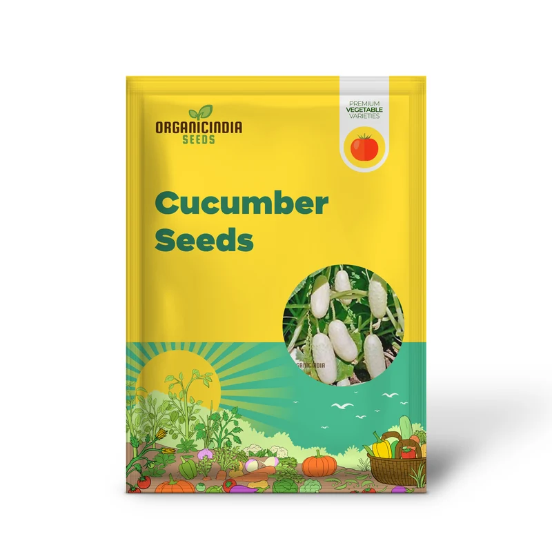 Rare White Wonder Cucumber Seeds for Planting