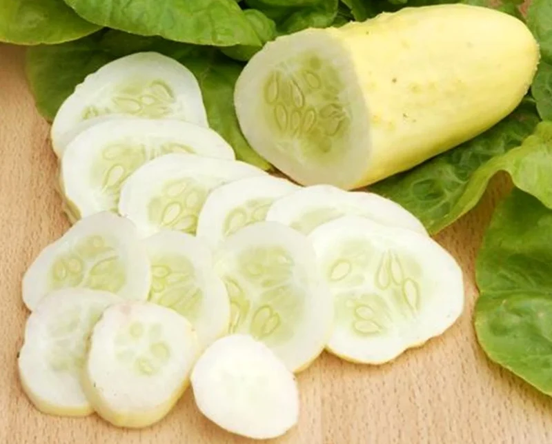 Rare White Wonder Cucumber Seeds for Planting
