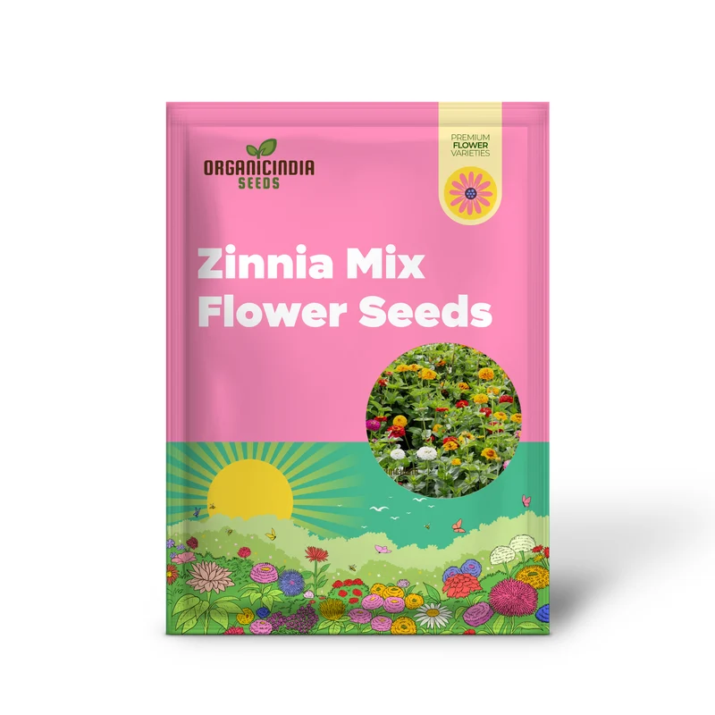 Super Giant Zinnia Mix Seeds – Large Summer Flower Blooms