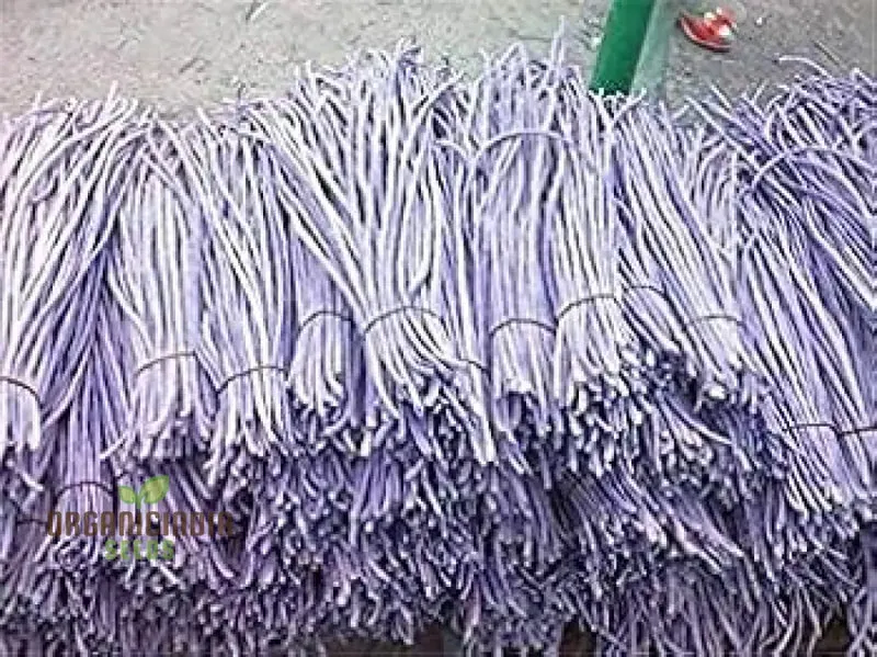 Aquarium Fish Tank Grass Seeds for Planting - 100 pcs