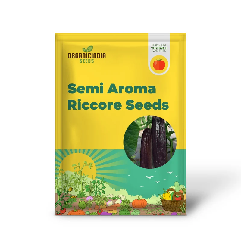 Bell Semi Aroma Riccore Seeds for Planting