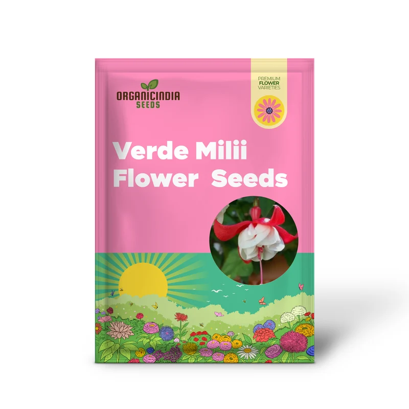 Rari Verde Milii Beautiful Flower Seeds for Planting