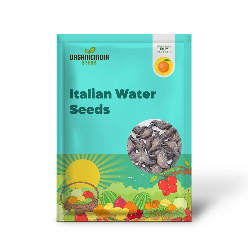 Italian Water Vegetable Seeds, Planting