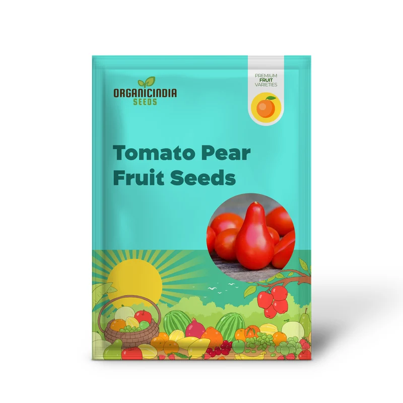 Tomato Pear Fruit Seeds, Planting