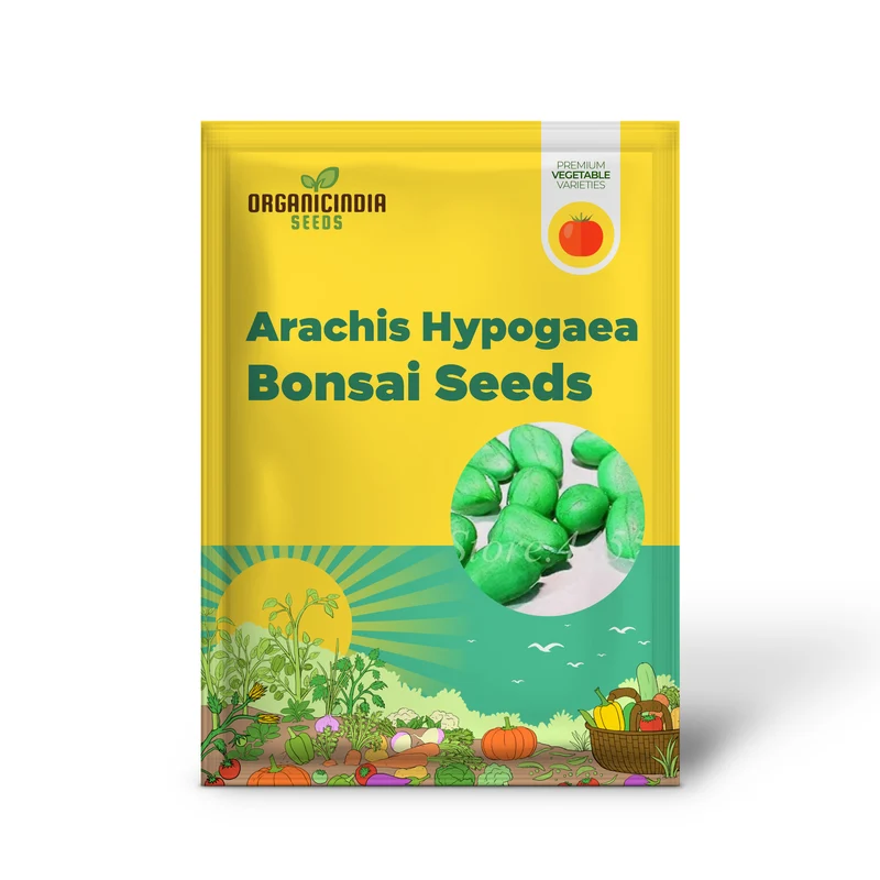 Arachis Hypogaea Bonsai Seeds - Rare Heirloom