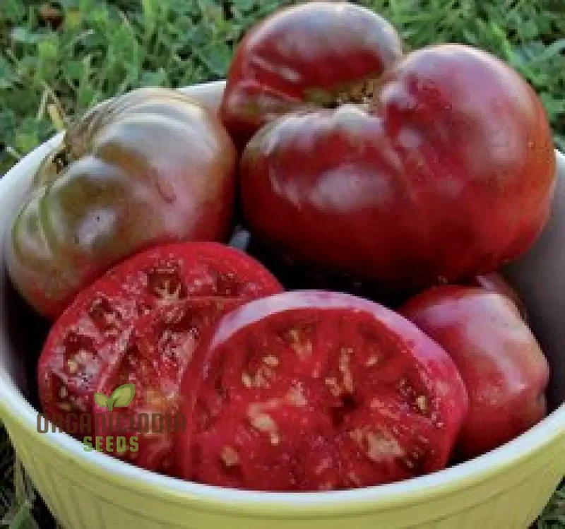 Tomato Memorabilia Seeds - Organic Perennials