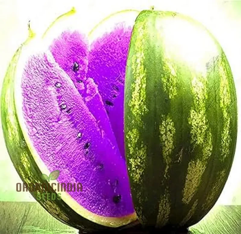 Giant Sweet Watermelon Seeds
