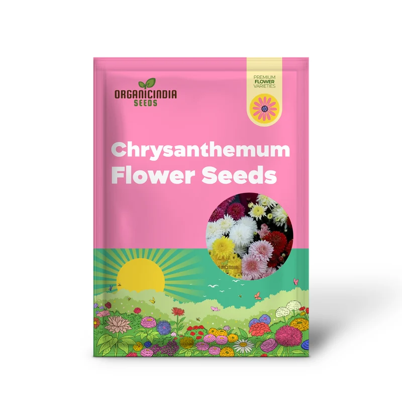 Chrysanthemum Ornamental Flower Seeds for Planting - 100 pcs
