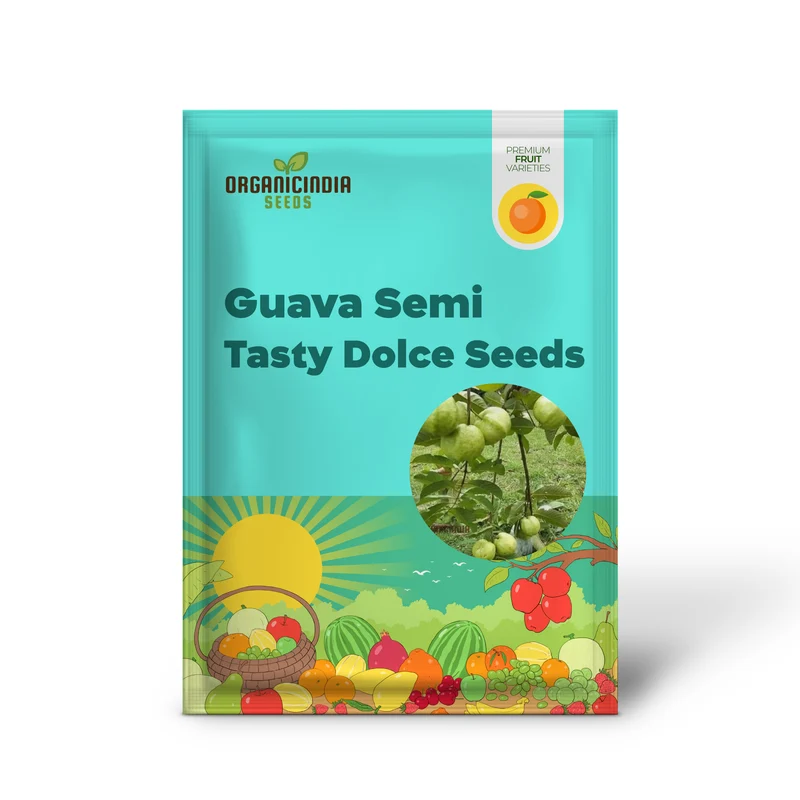 Guava Semi Tasty Dolce Seeds for Planting - Sweet Fruit (100 pcs)