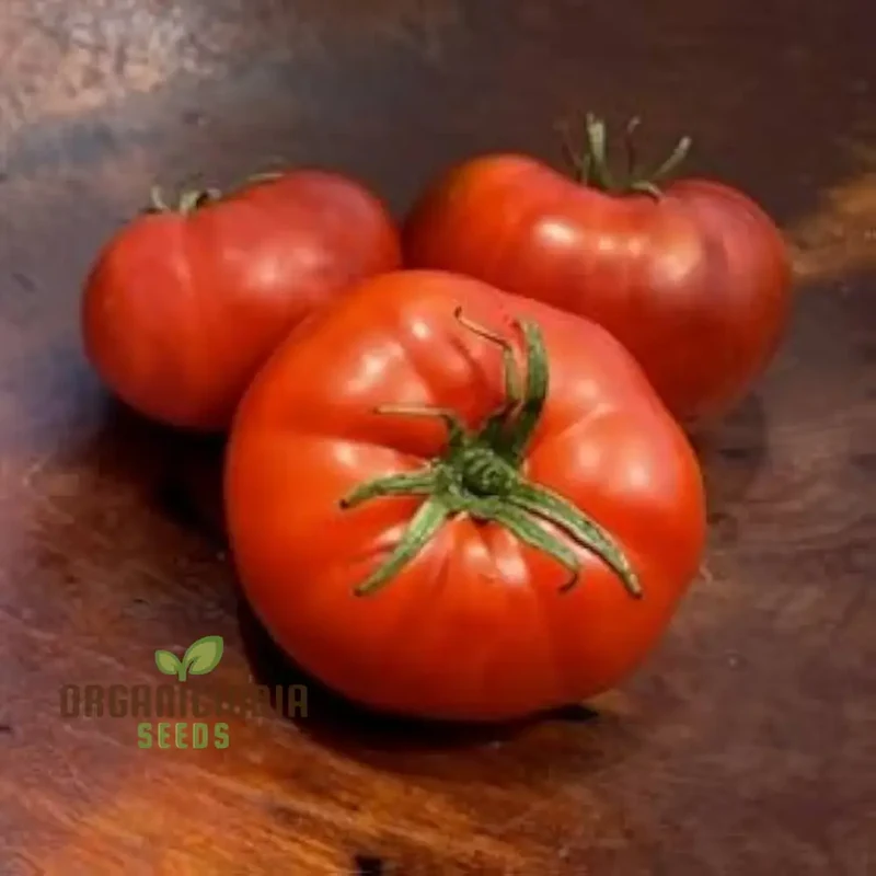 Coustralee Tomato Seeds for Planting ,Heirloom Variety | Ideal for Home Gardening, Juicy and Flavorful Tomatoes