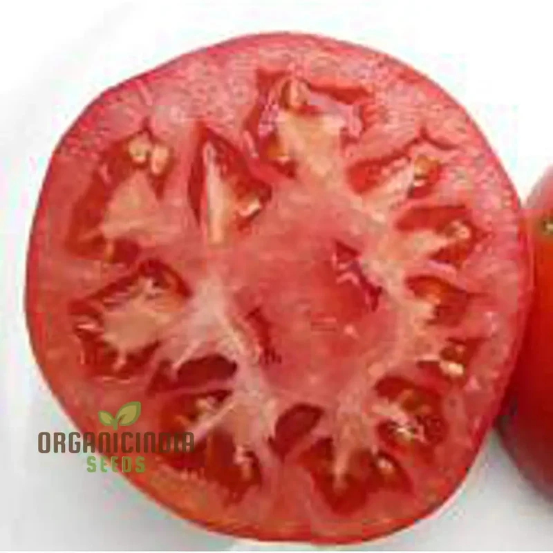 Coustralee Tomato Seeds for Planting ,Heirloom Variety | Ideal for Home Gardening, Juicy and Flavorful Tomatoes
