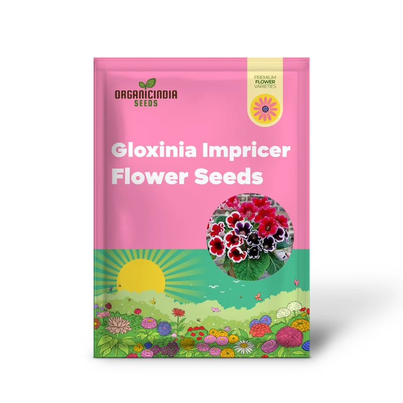 Gloxinia Seeds (Semi Gloxinia Impricer Mix Seeds) - Vibrant Mixed Bloom Colors for Planting
