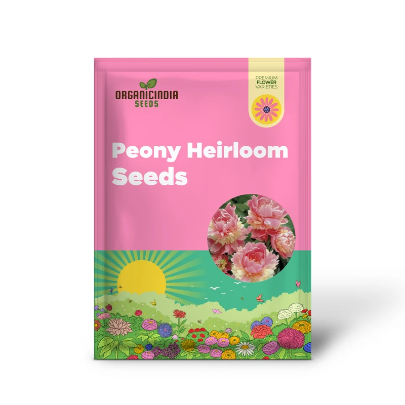 Peony Heirloom Seeds - Robusta Sorbetto Black (100 pcs)