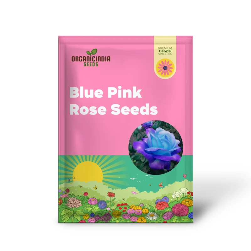 Rare Blue Pink Rose Seeds for Planting - Balcony Garden (100 pcs)