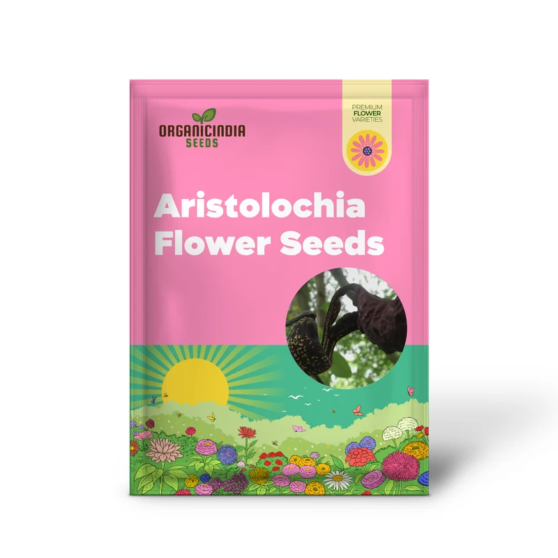 Aristolochia galeata Nova Odessa Flower Seeds for Planting