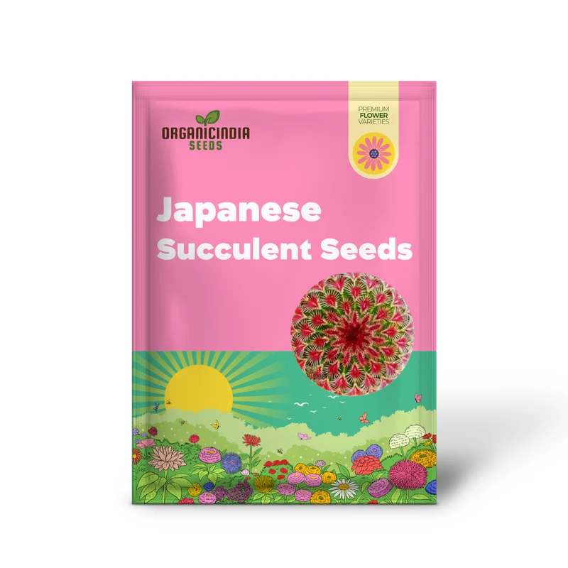 Mini Cactus, Prickly Pear, Japanese Succulent Seeds for Planting