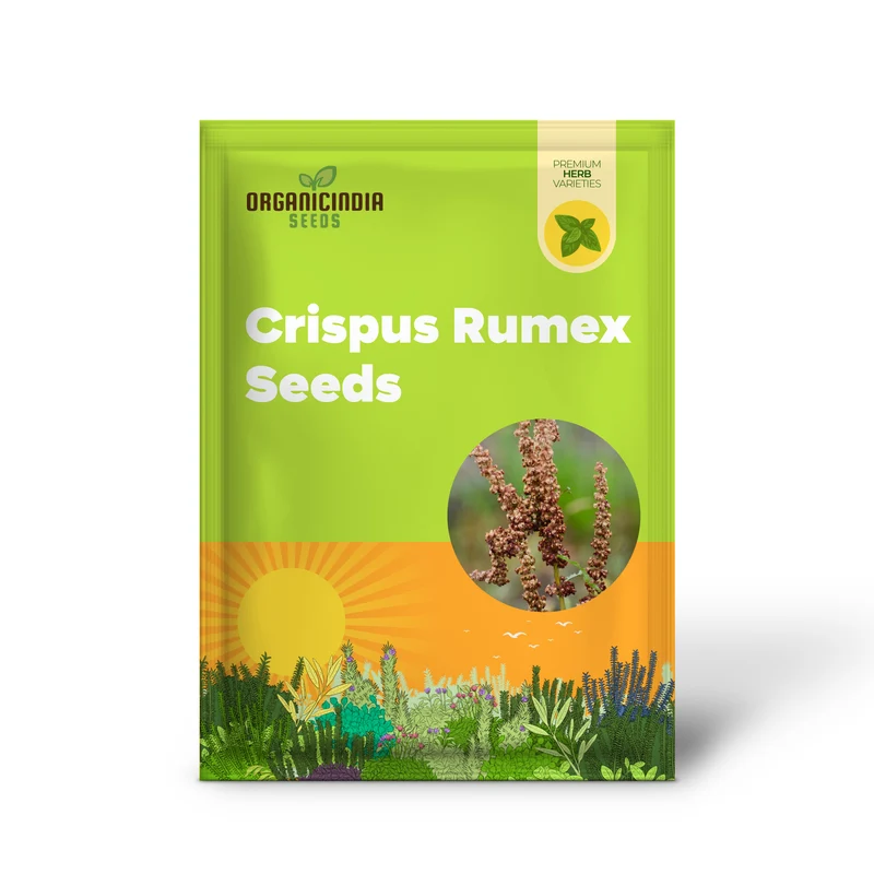 Crispus Rumex Seeds – Curly Dock Yellow Basin Variety for Planting