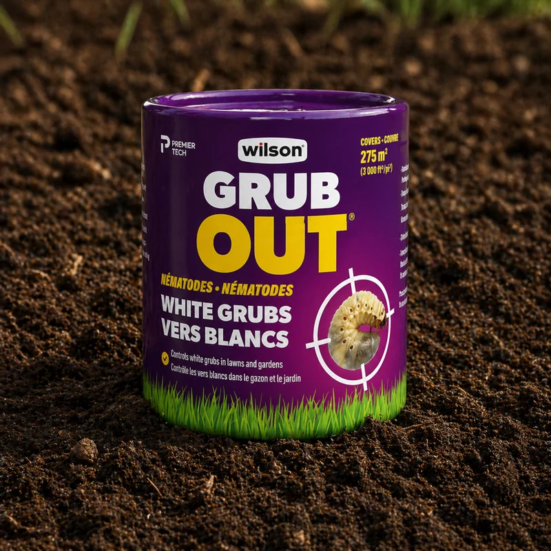 Nématodes Grub Out Wilson contre vers blancs