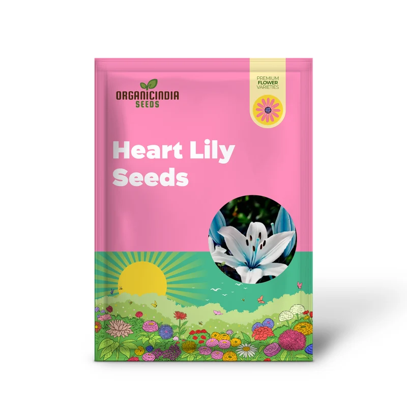 Rare Exotic Blue Heart Lily Seeds for Planting