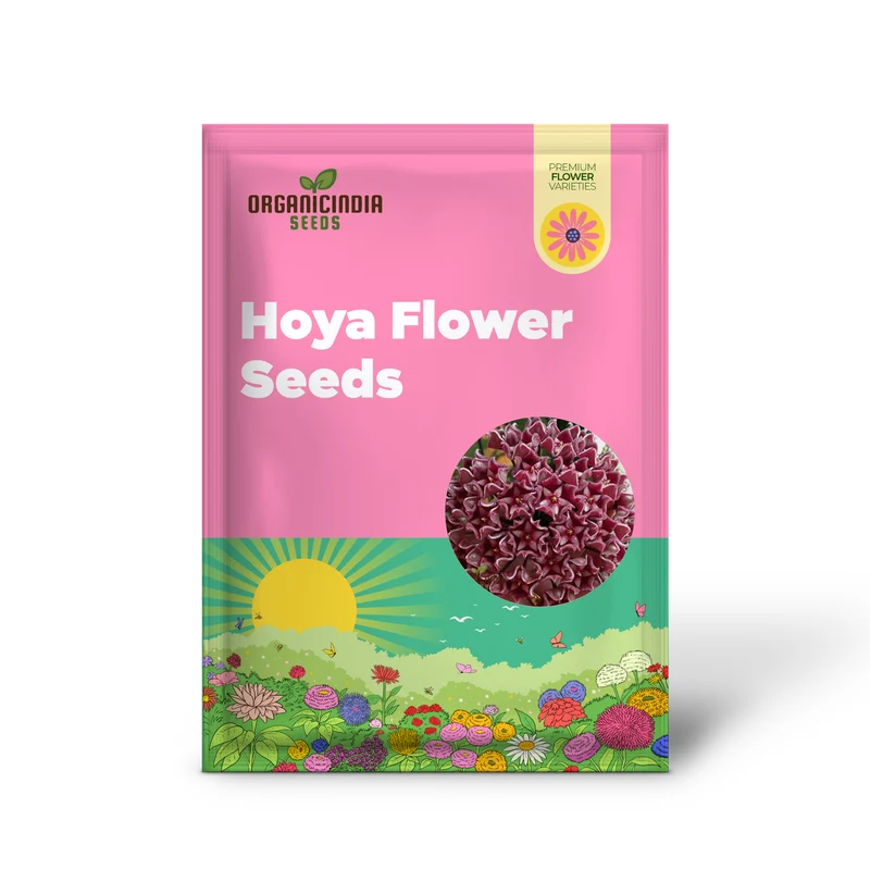 Hoya Flower Seeds for Beautiful Planting - 100 pcs