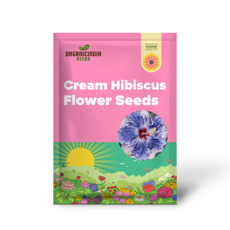 Rare Semi Blue & White Cream Hibiscus Flower Seeds for Planting