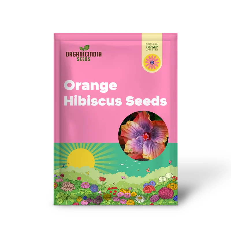 Orange Blue Orange Hibiscus Seeds for Planting - 100 pcs