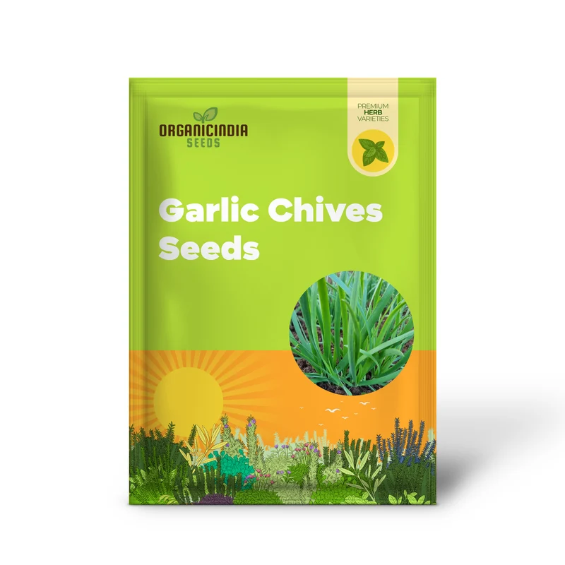 Garlic Chives Seeds – High Yield Open-Pollinated Heirloom Chinese Leek