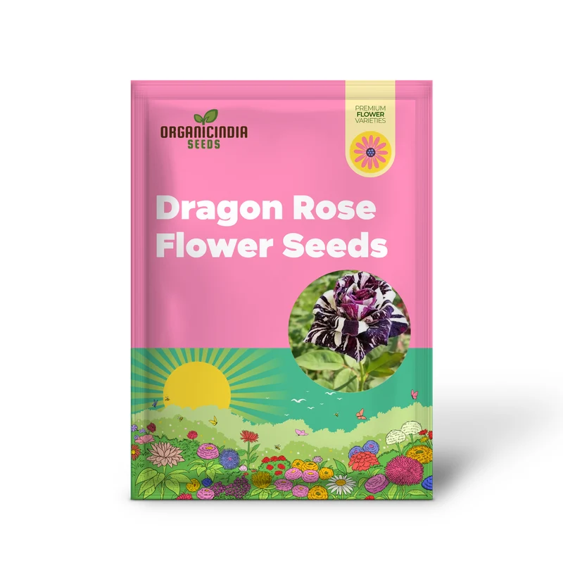 Rose Seeds (Dragon Rose Black Flower Seeds) - Deep Dark Blooms for Home Gardens