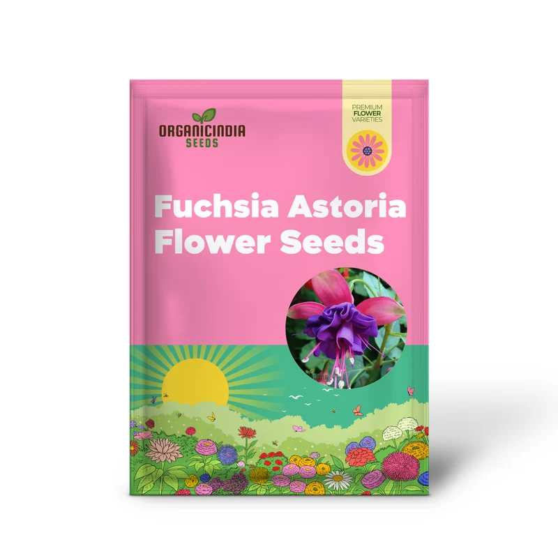 Fuchsia Astoria Seeds – Decorative Hanging & Border Flowers