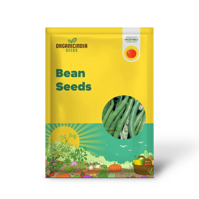 Bean Seeds - Broad 'Bunyard's Exhibition' for Gardening Enthusiasts | Premium Quality Organic Seeds for Planting