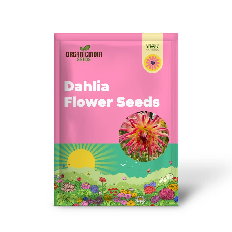 Dahlia Seeds (Electric Flash Dahlia Flower Seeds) - Vibrant Colorful Blooms for Summer Gardens