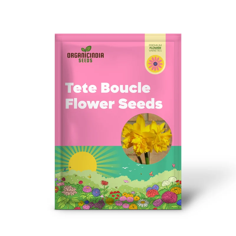 Narcissus Tete Boucle Flower Seeds For Planting, Delightful Frilly Daffodils for a Charming and Vibrant Spring Garden
