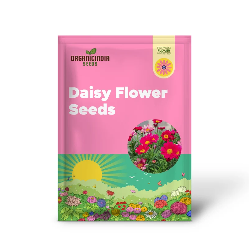Robinson’s Giant Painted Daisy Seeds – Giant Spring Blooms