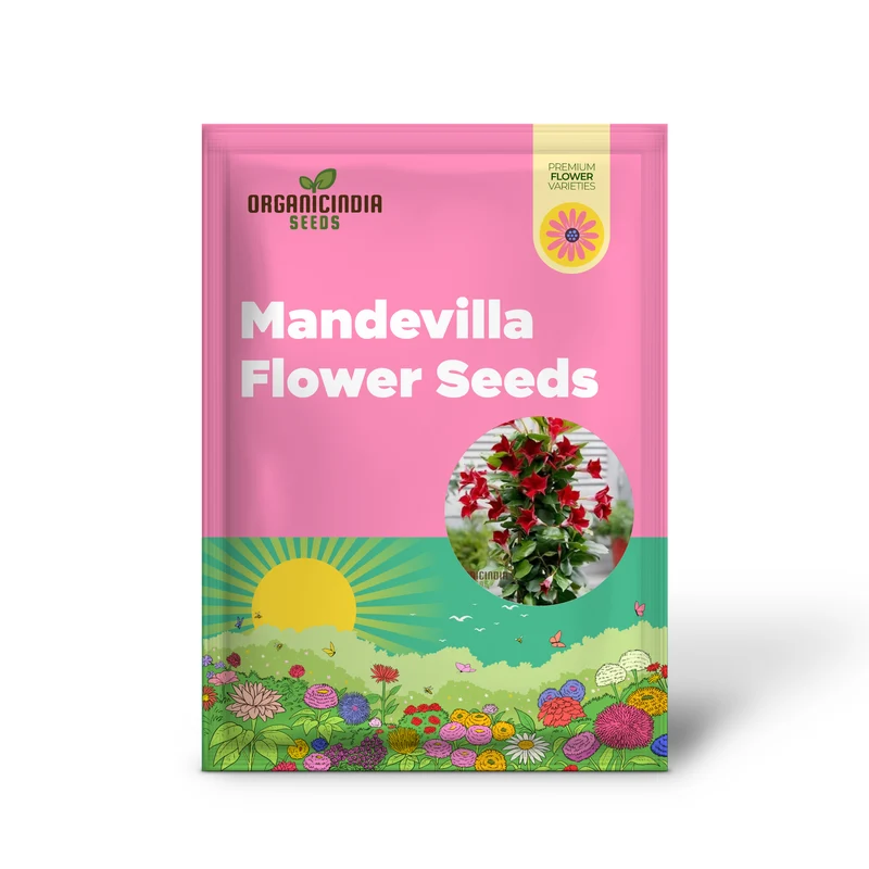Red Mandevilla Vine Flower Seeds - Tropical Climber, Planting Instructions, Grow Vibrant Red Blooms