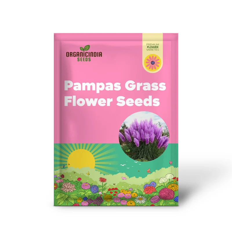Nema Rare Purple Pampas Grass Flower Seeds, Unique and Stunning Seeds Perfect for Gardening, Grow Beautiful Pampas Grass with These Premium Seeds