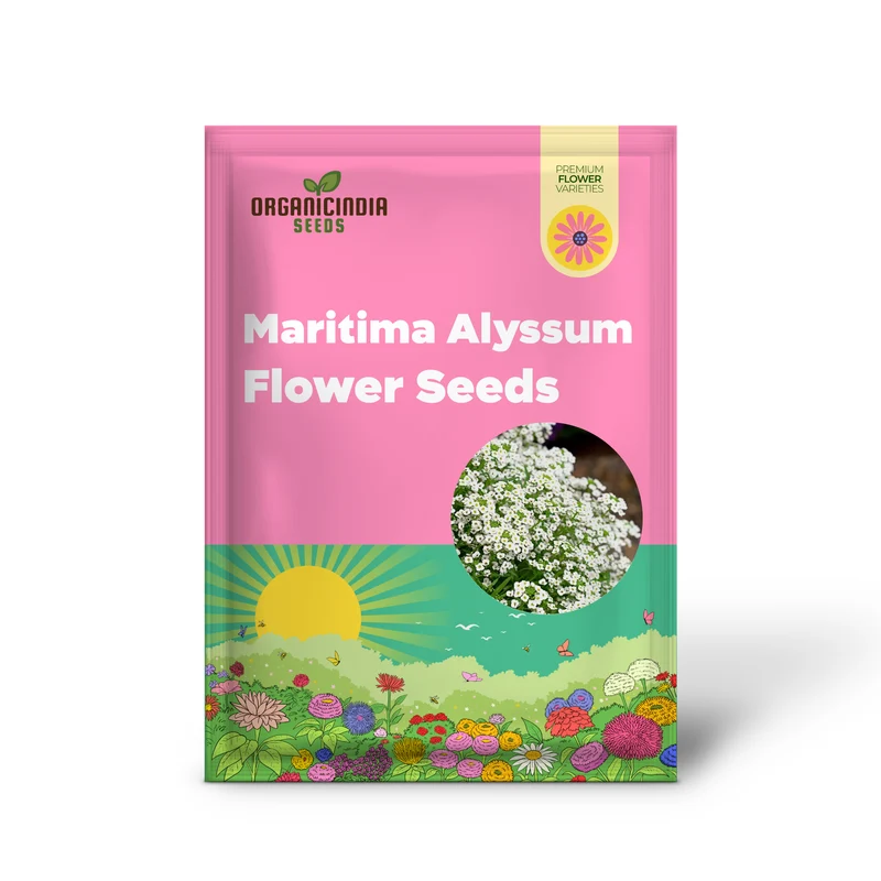 Lobularia Maritima Alyssum Sweet Drought & Heat Tolerant Wild Flowers Seeds for Gardening Enthusiasts