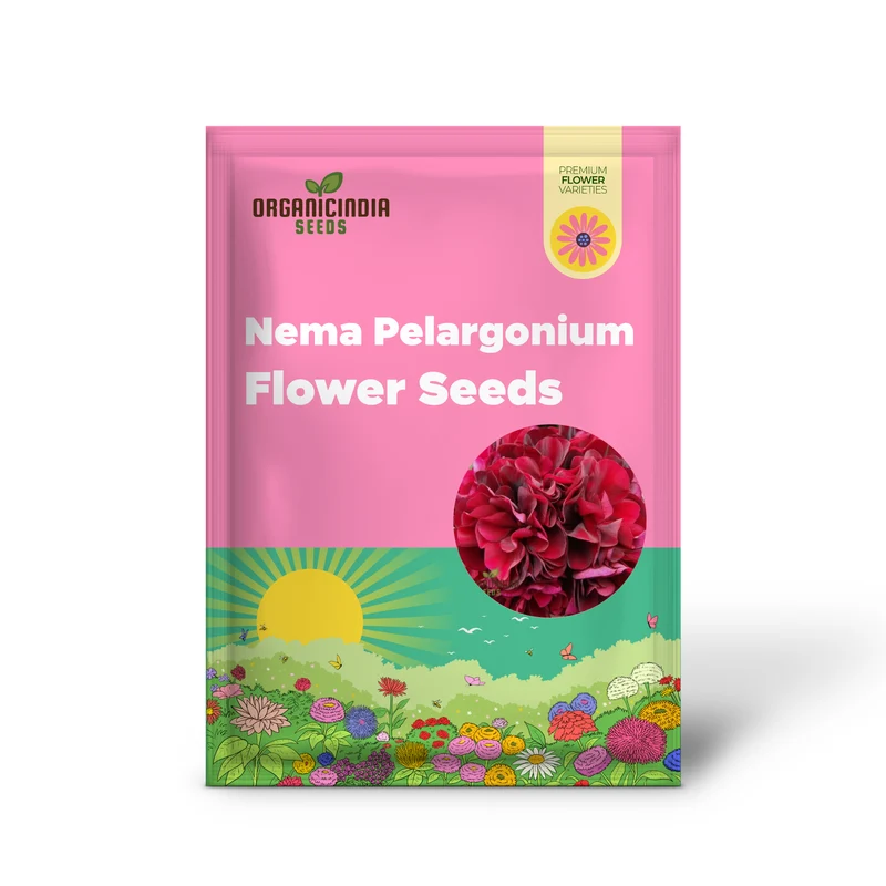 Dark Red Geranium Pelargonium Seeds – Classic Garden Blooms